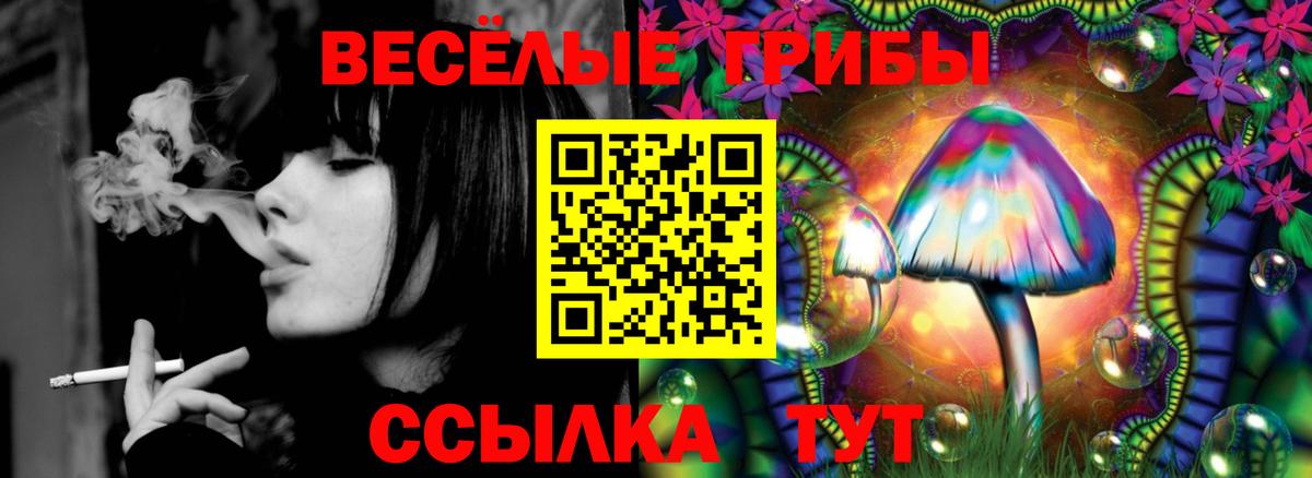 Балашов  Псилоцибиновые грибы GOLDEN TEACHER  Вход с VPN 